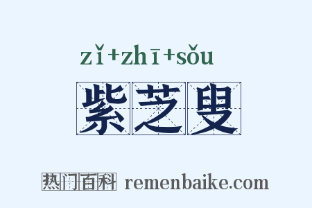 紫芝叟是什么意思的图片
